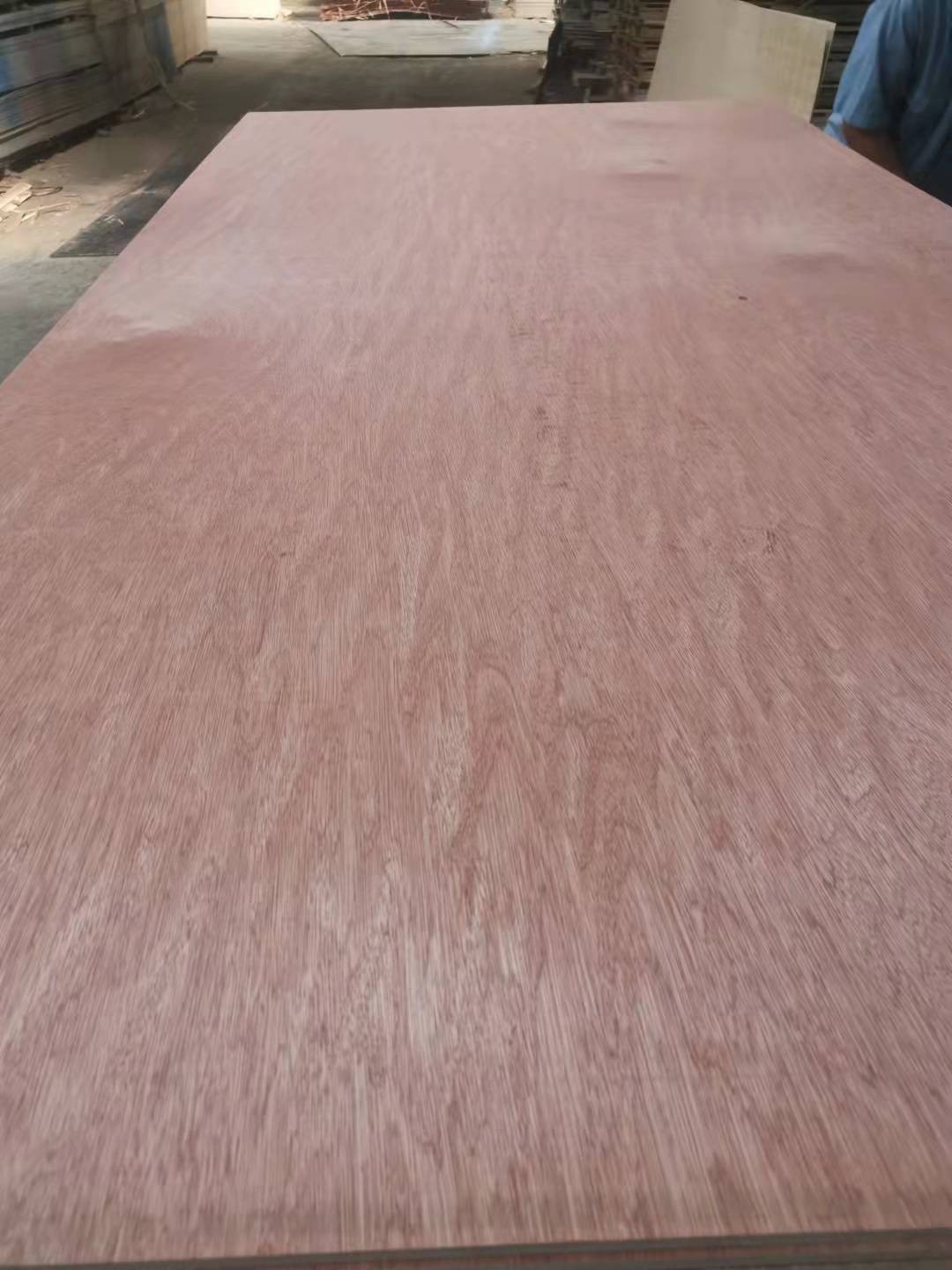 QQ20211206134231