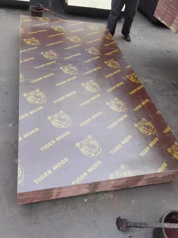 FILM FACED PLYWOOD