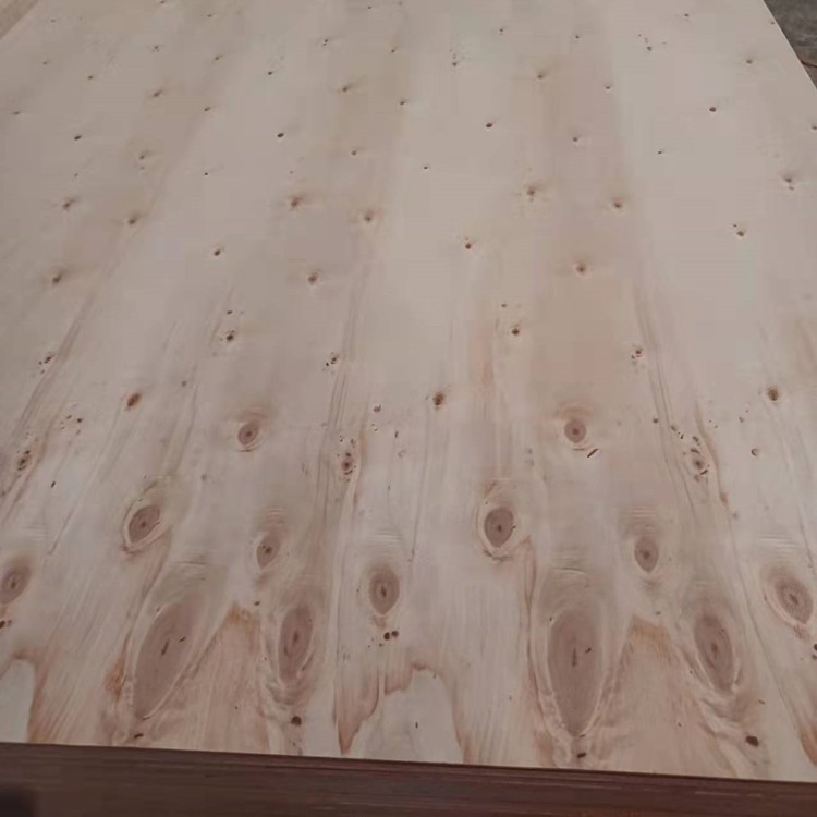 Poplar Back1