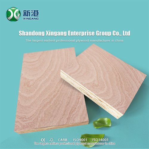 Sapele (2)