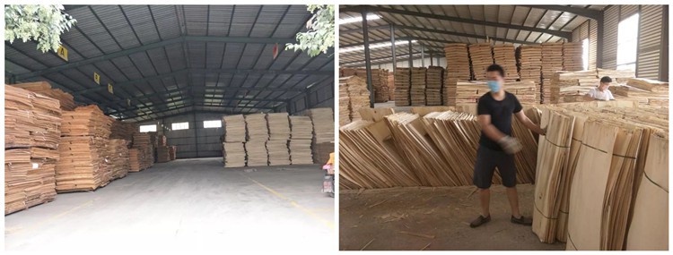 XG CORE VENEER SELETING XG CORE VENEER SELETING