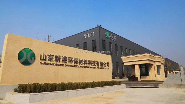 XG GROUP NEW SITE1