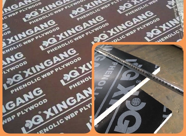 221021 XG FFP WITH LOGO