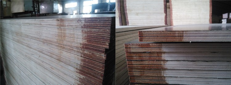 221115 Birch FFP Stacking 221115 Birch FFP Stacking
