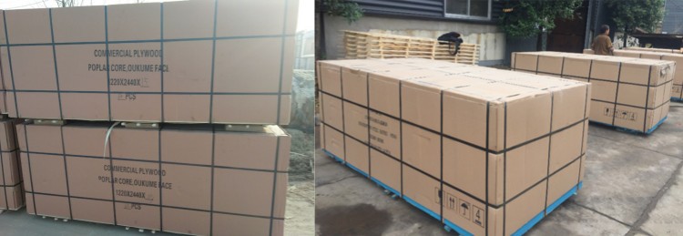 CP Cdbd PACKING 221212 CP Cdbd PACKING 221212