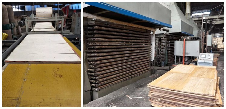 product-750-363 product-750-363