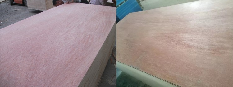 product-750-281 product-750-281