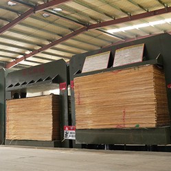 Film coated board production line-3.jpg Film coated board production line-3.jpg