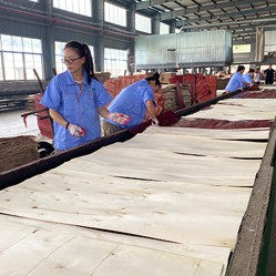 Film coated board production line-2.jpg Film coated board production line-2.jpg