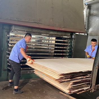 Hot-pressing