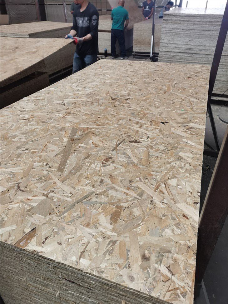poplar osb