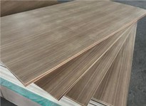 Red Oak Veneered Fancy Plywood