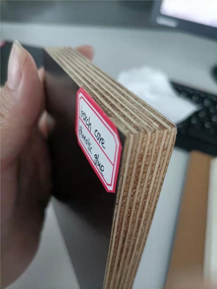 13mm Black Film Faced Plywood Construction