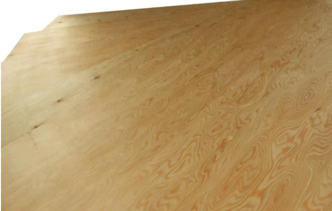 Construction Plywood Marine CDX Pine Plywood