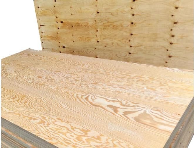 Construction Plywood Marine CDX Pine Plywood