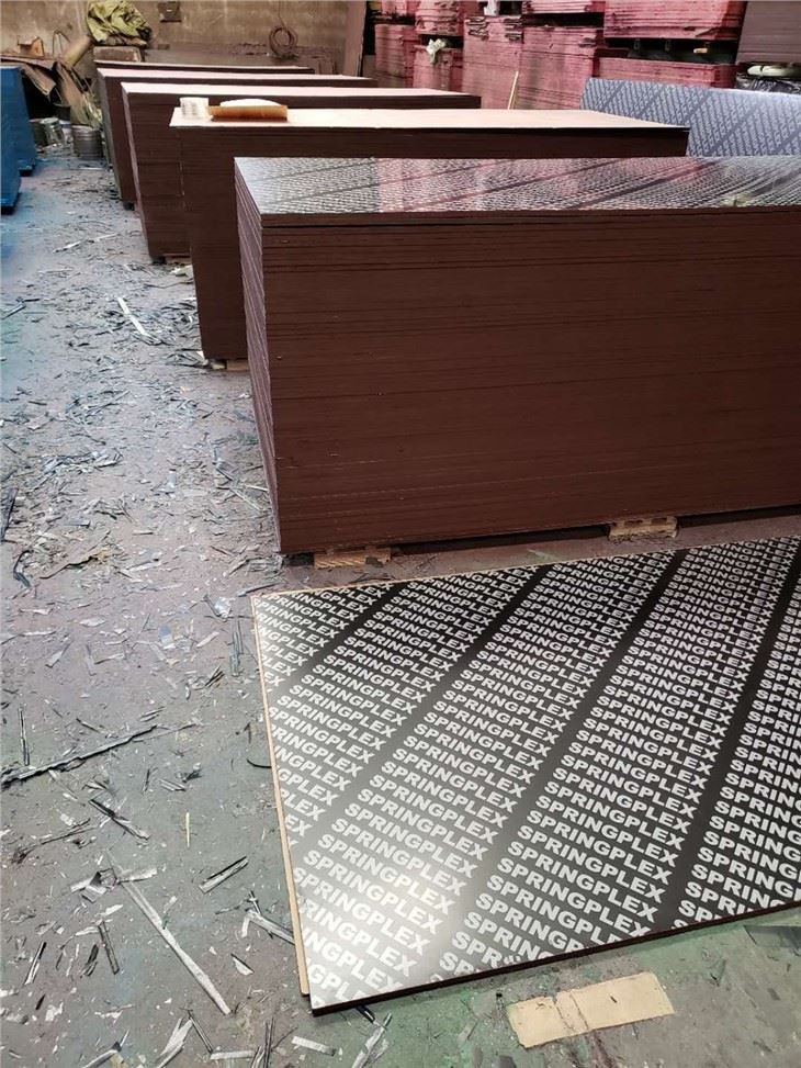 18mm Poplar Material Core Film Faced Plywood