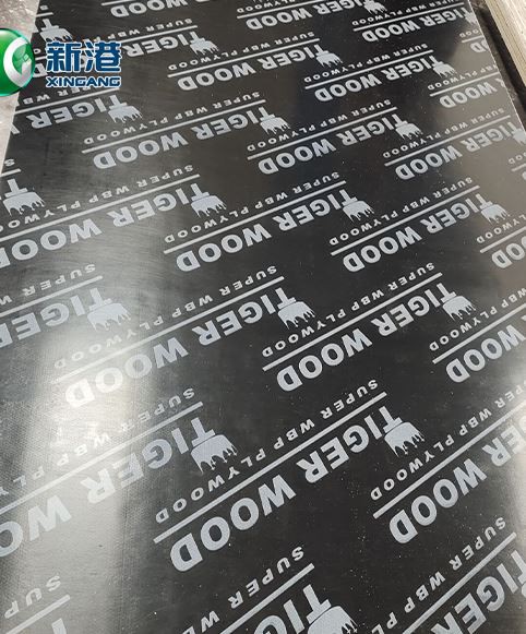 Black Film Faced Plywood Poplar Core