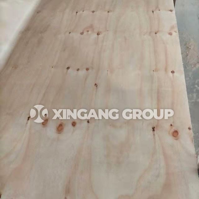 C/D Grade Pine Plywood With Knot