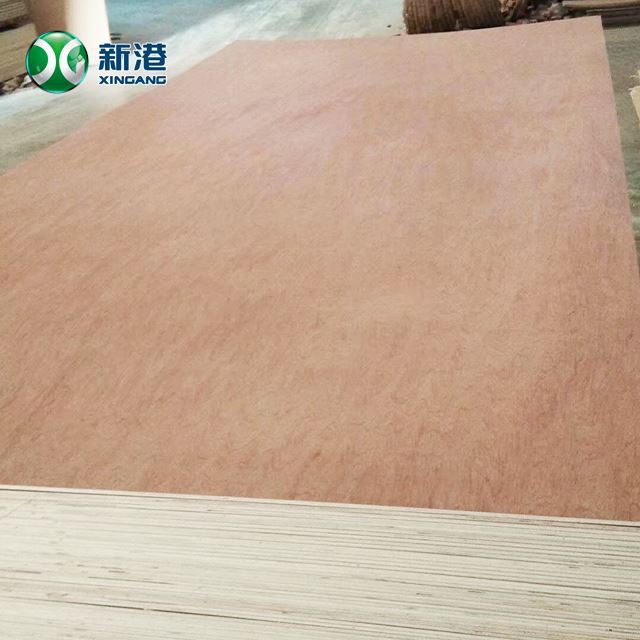 Bingtango Face Commercial Plywood