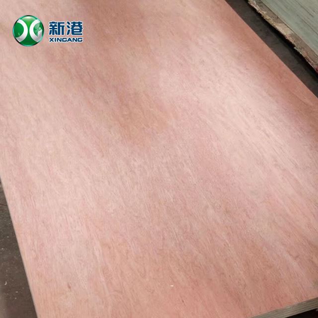 Bingtango Face Commercial Plywood