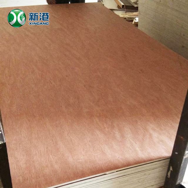 Bingtango Face Commercial Plywood