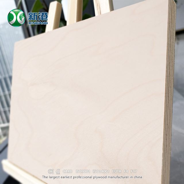 Best Full Birch Plywood XINGANG Brand