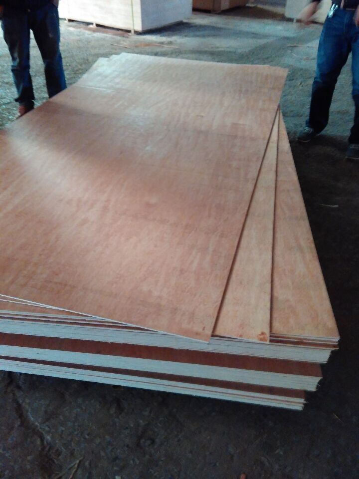 Best Quality Better Quality Good Quality Bintangor Low Plywood Price