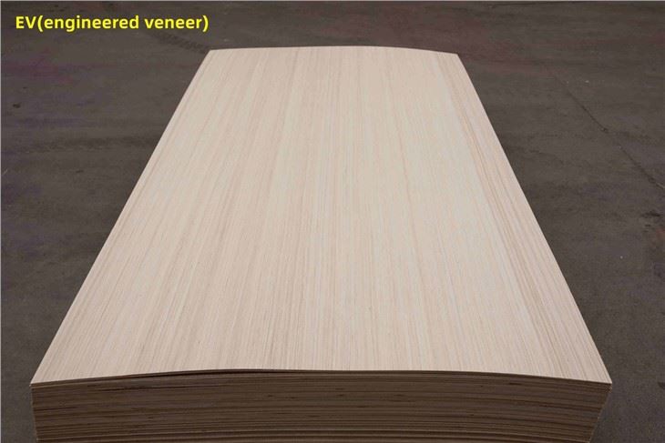 Bintangor / Commercial Plywood / XINGANG / CHINA