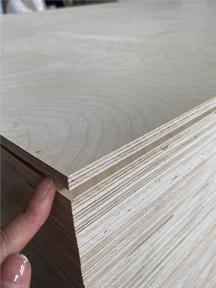 Bintangor Plywood Construction Poplar All Size And Thickness Teak Plywoods