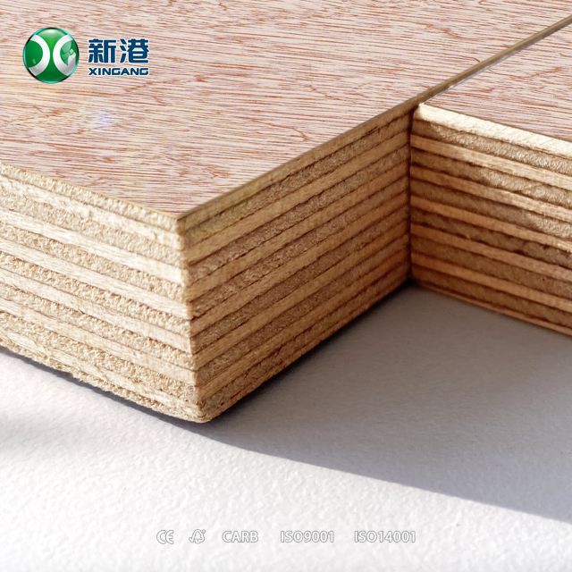 Bintangor Plywood For Funiture Or Packing