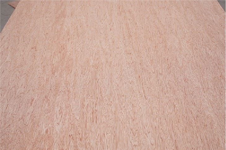 Bintangor Venner Plywood