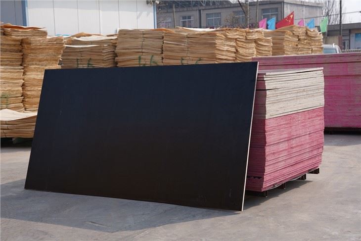 Black Film / Marina Board / Xingang Global Group / CHINA