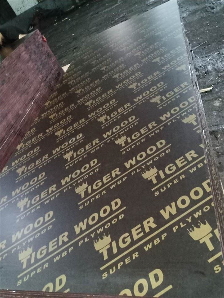 Brich Plywood With Phenolic Glue Boling Time 72 Hours