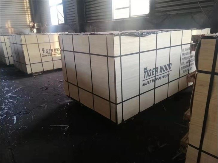 Brich Plywood With Phenolic Glue Boling Time 72 Hours