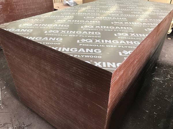 Brown Film Faced Plywood Eucalyptus Phenolic WBP