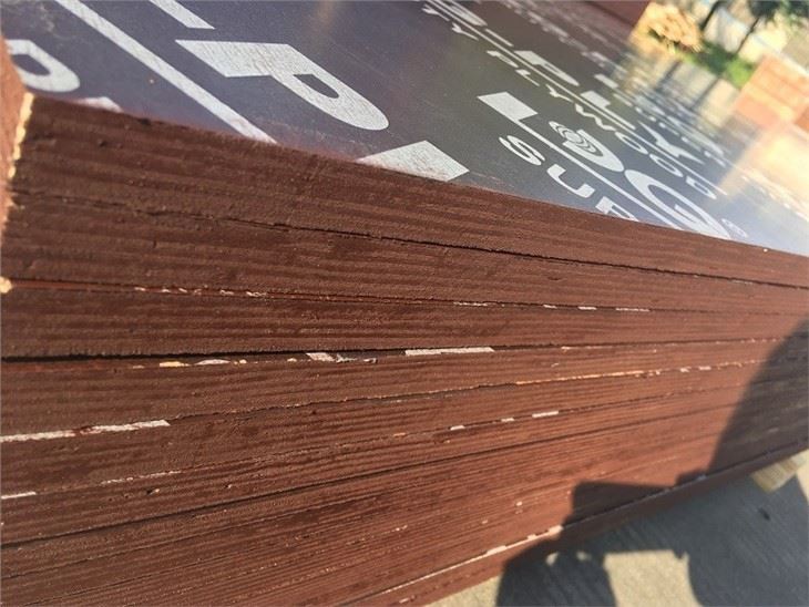 Brown Film Faced Plywood Eucalyptus Phenolic WBP