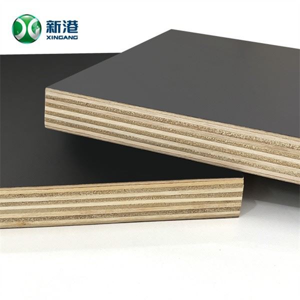 Brown Film Faced Plywood With Logo