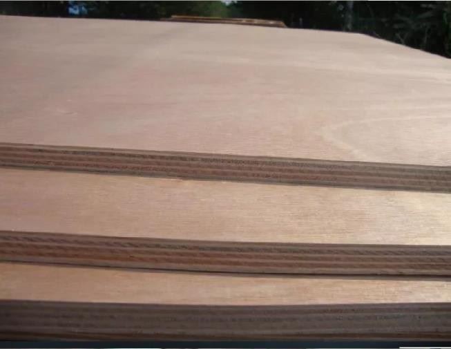 BS1088 Standard Marine Plywood For Piano And Boat High Strength