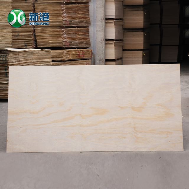 China / Furniture / Commercial Plywood