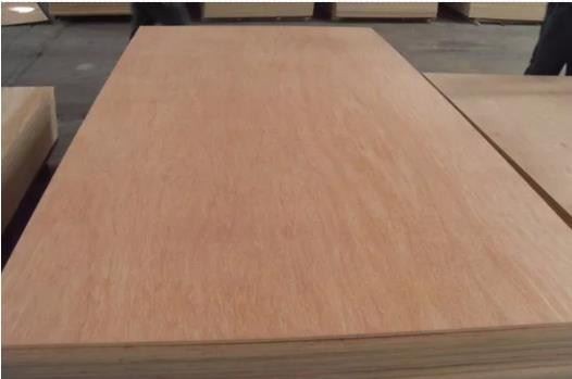 China Plywood Manufacturer /factory -Xingang Global Group