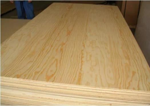 China Plywood Manufacturer /factory -Xingang Global Group
