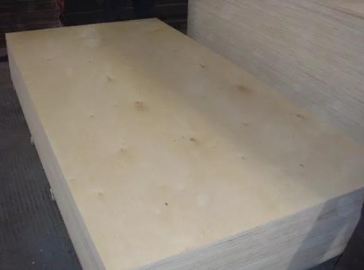 China Plywood Manufacturer /factory -Xingang Global Group