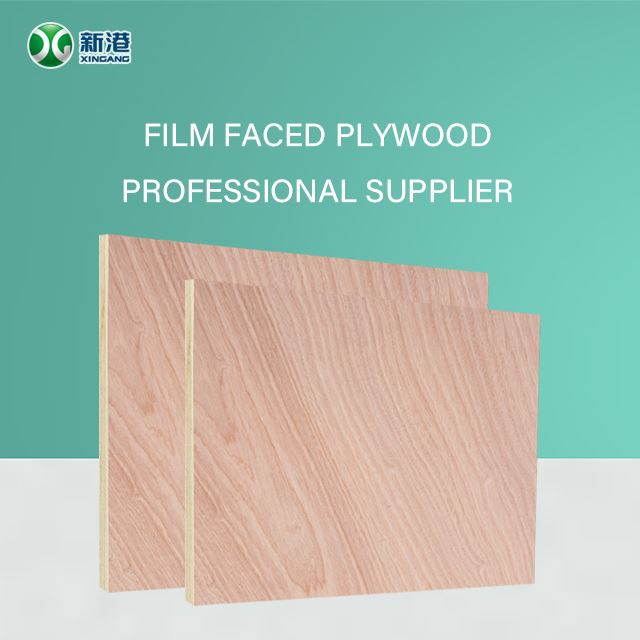 Commercial Plywood 12mm