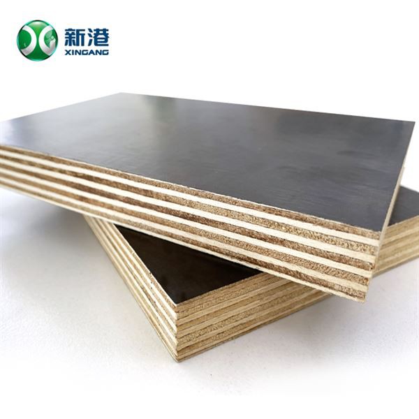 Concrete Formwork Shuttering Plywood