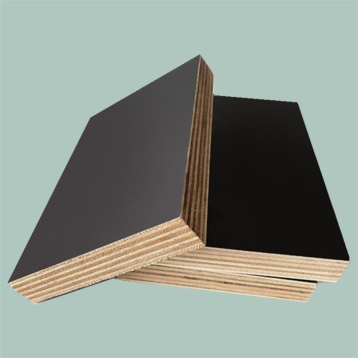 Construction Wood Board Film Faced Plywood Hot Press Machine Made