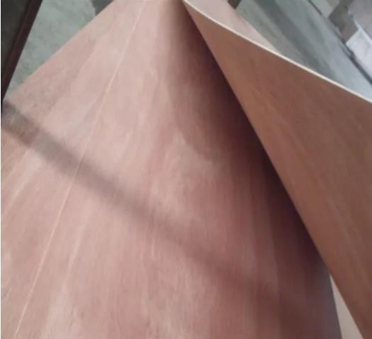 3X7 Bintangor Okoume Sapelee 2mm-5mm BB/CC Door Skin Plywood