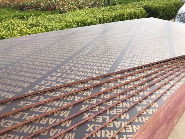 Double Brown Film Faced Plywood