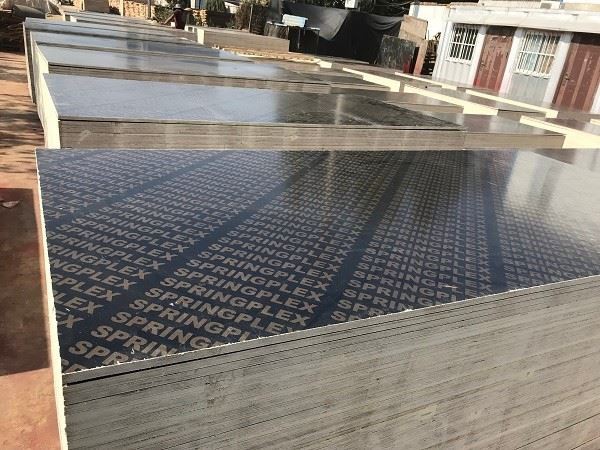 Double Brown Film Faced Plywood