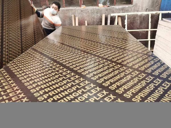 Factory Direct Black Construction Concrete Template Formwork Poplar Core 15mm 18mm Film Faced Shuttering Plywood