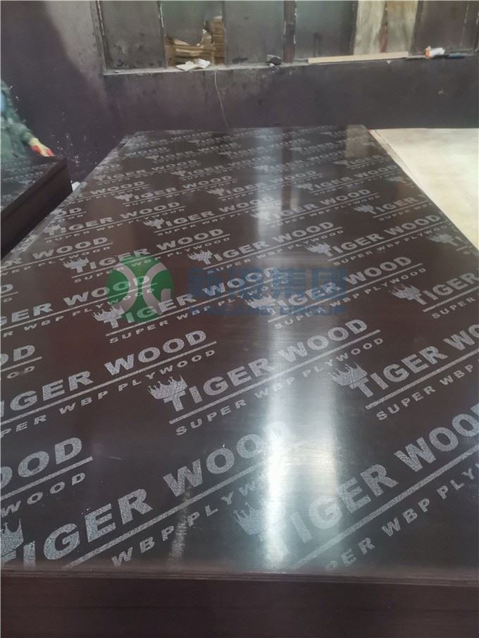 Film Faced Plywood 9mm 18mm 1250x2500mm For Construction Building Materils